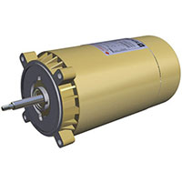 SPX1615Z1M 2 Hp Max Rated Motor - REPLACEMENT MOTORS